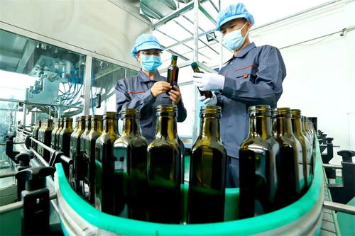 从初加工到精深加工 张掖高台食用保健油的粤闽商机