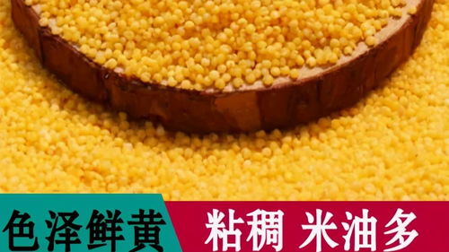 方山县积翠乡 消费扶贫月绿色农产品展销与网络认购活动助力农产品初加工升级