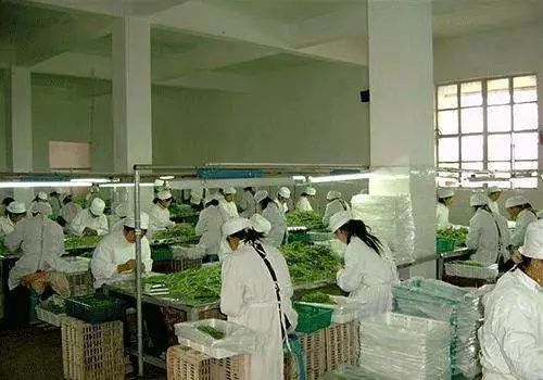 一图解读 七台河市政府五大振兴工程之食用农产品初加工赋能行动