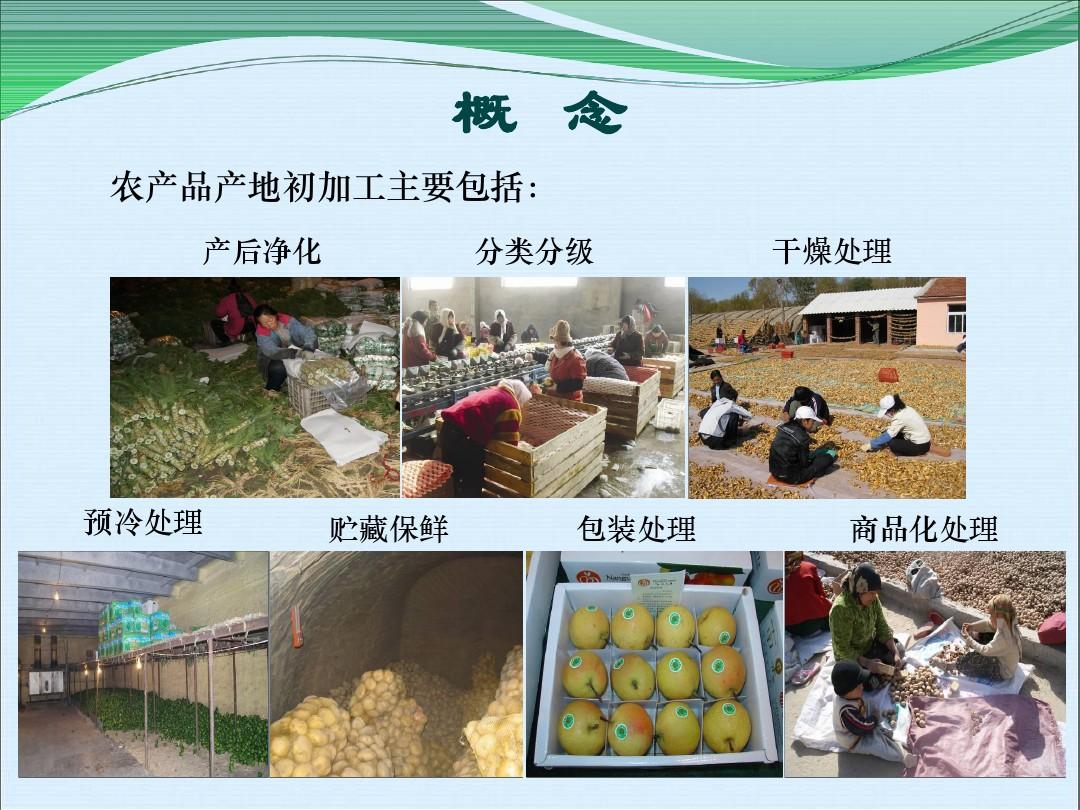 食用农产品初加工惠民工程实施要求与操作指南