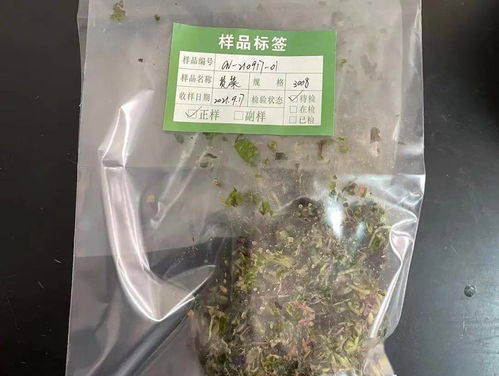 探秘实验室开放日 农产品质量检测与食用农产品初加工